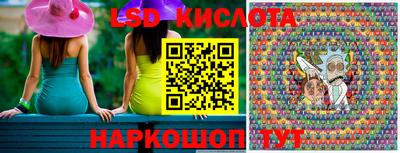 прущие грибы Будённовск