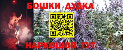 прущие грибы Будённовск