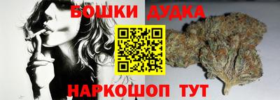 сатива Бузулук