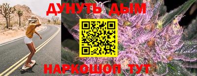 прущие грибы Будённовск