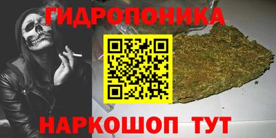 прущие грибы Будённовск