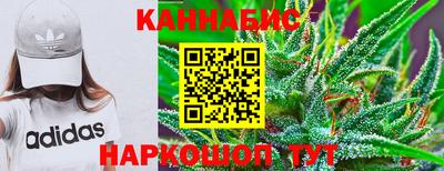 сатива Бузулук