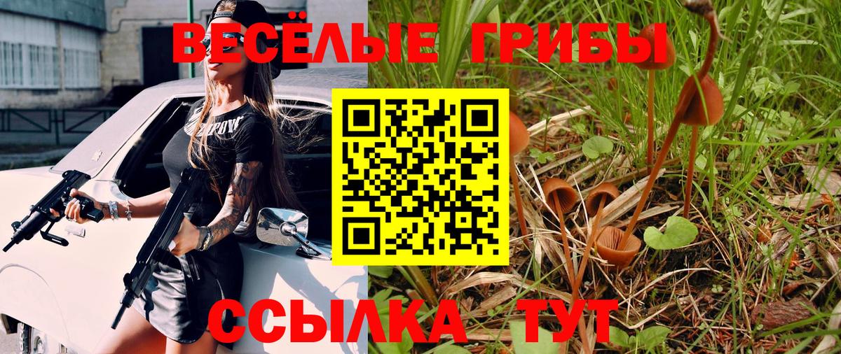 Лесной  наркошоп  Вход с VPN  Галлюциногенные грибы Psilocybine cubensis 